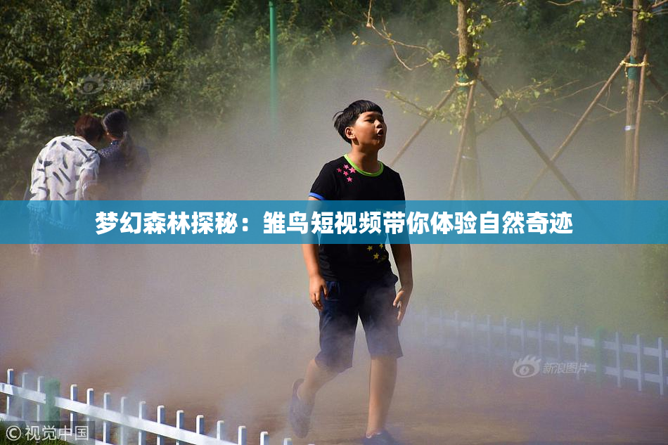 梦幻森林探秘：雏鸟短视频带你体验自然奇迹