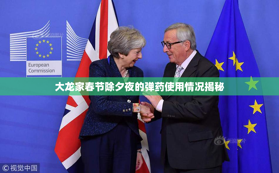 大龙家春节除夕夜的弹药使用情况揭秘