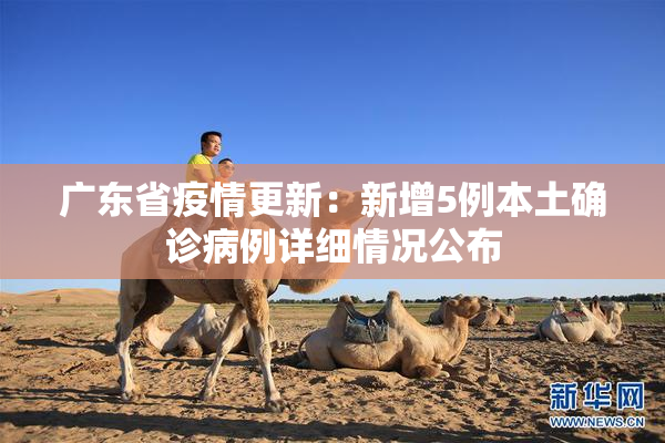 广东省疫情更新：新增5例本土确诊病例详细情况公布