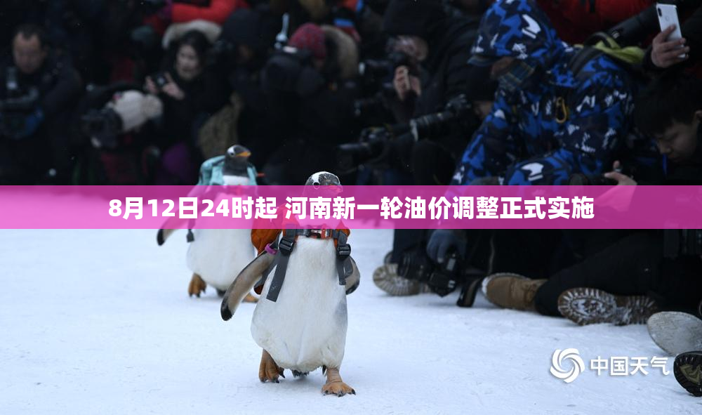 8月12日24时起 河南新一轮油价调整正式实施