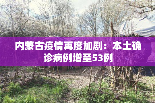 内蒙古疫情再度加剧：本土确诊病例增至53例