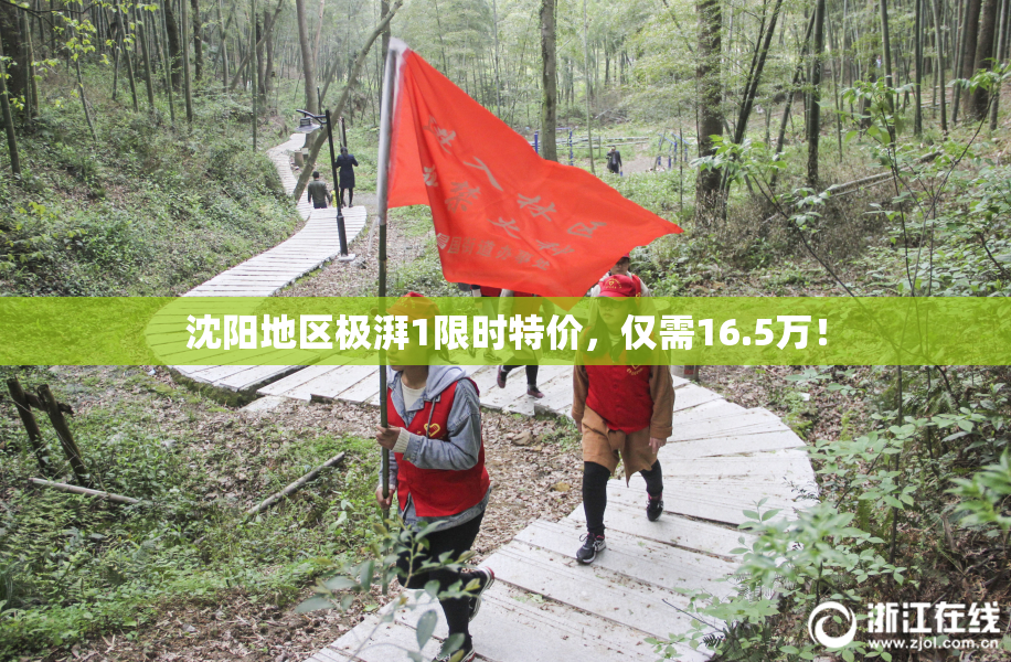 沈阳地区极湃1限时特价，仅需16.5万！