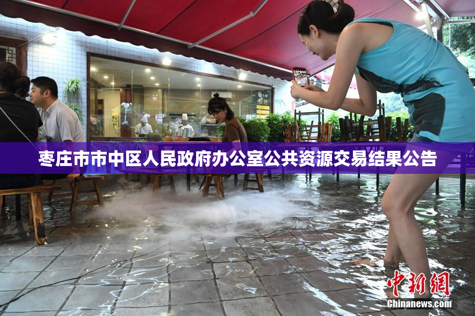 枣庄市市中区人民政府办公室公共资源交易结果公告