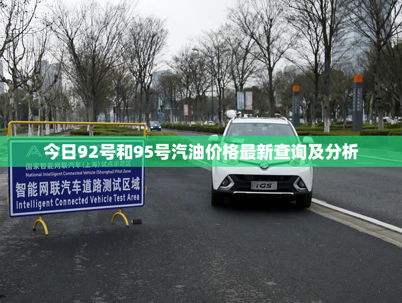今日92号和95号汽油价格最新查询及分析