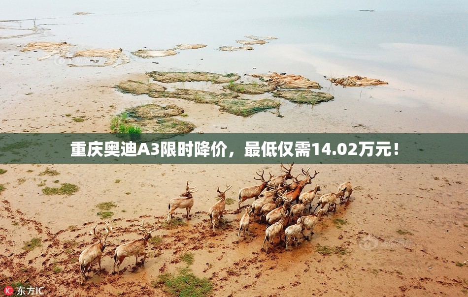 重庆奥迪A3限时降价，最低仅需14.02万元！