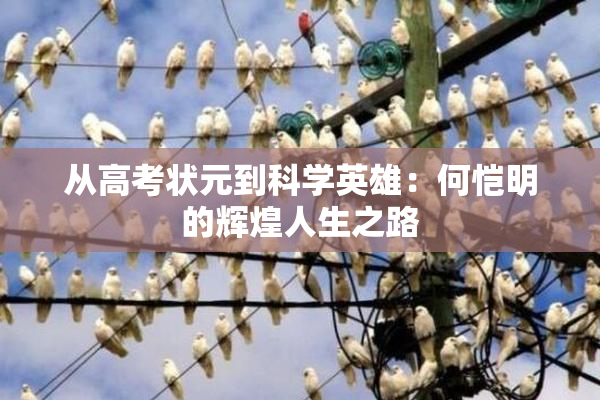 从高考状元到科学英雄：何恺明的辉煌人生之路