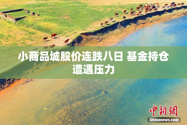 小商品城股价连跌八日 基金持仓遭遇压力