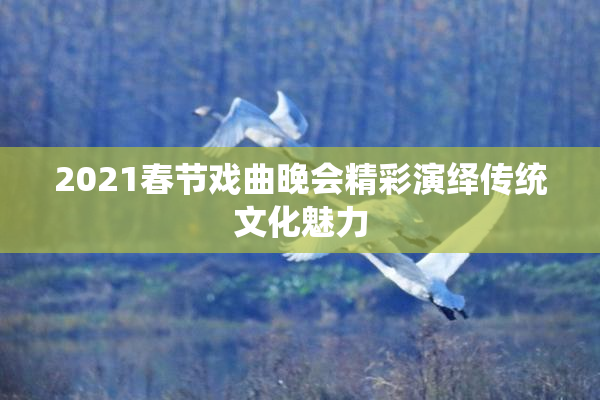 2021春节戏曲晚会精彩演绎传统文化魅力