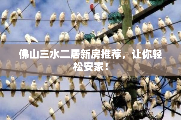 佛山三水二居新房推荐，让你轻松安家！