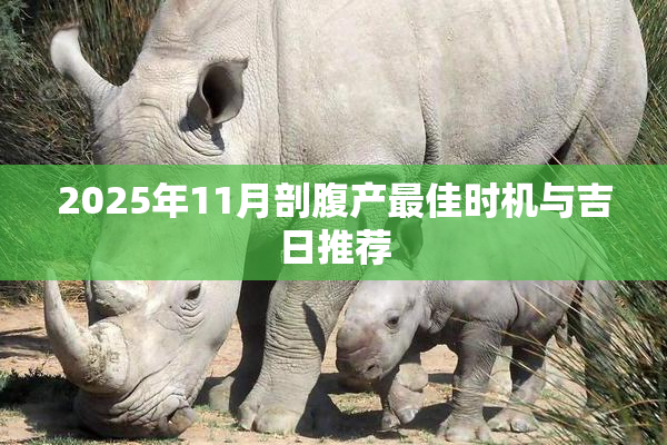 2025年11月剖腹产最佳时机与吉日推荐