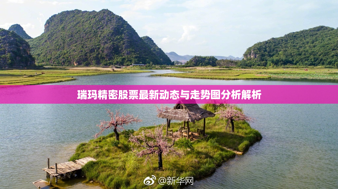 瑞玛精密股票最新动态与走势图分析解析
