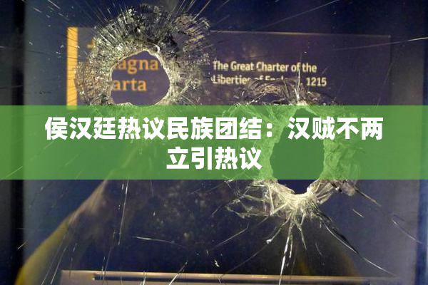 侯汉廷热议民族团结：汉贼不两立引热议