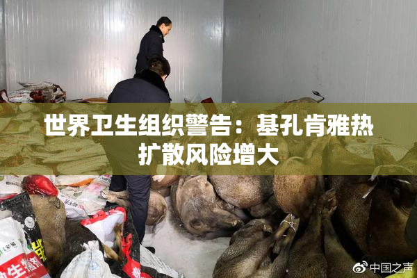 世界卫生组织警告：基孔肯雅热扩散风险增大