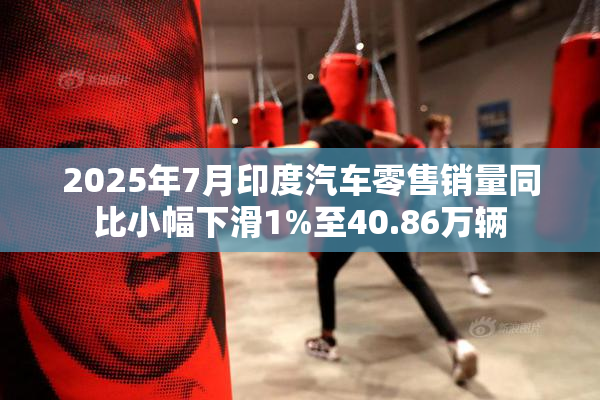 2025年7月印度汽车零售销量同比小幅下滑1%至40.86万辆