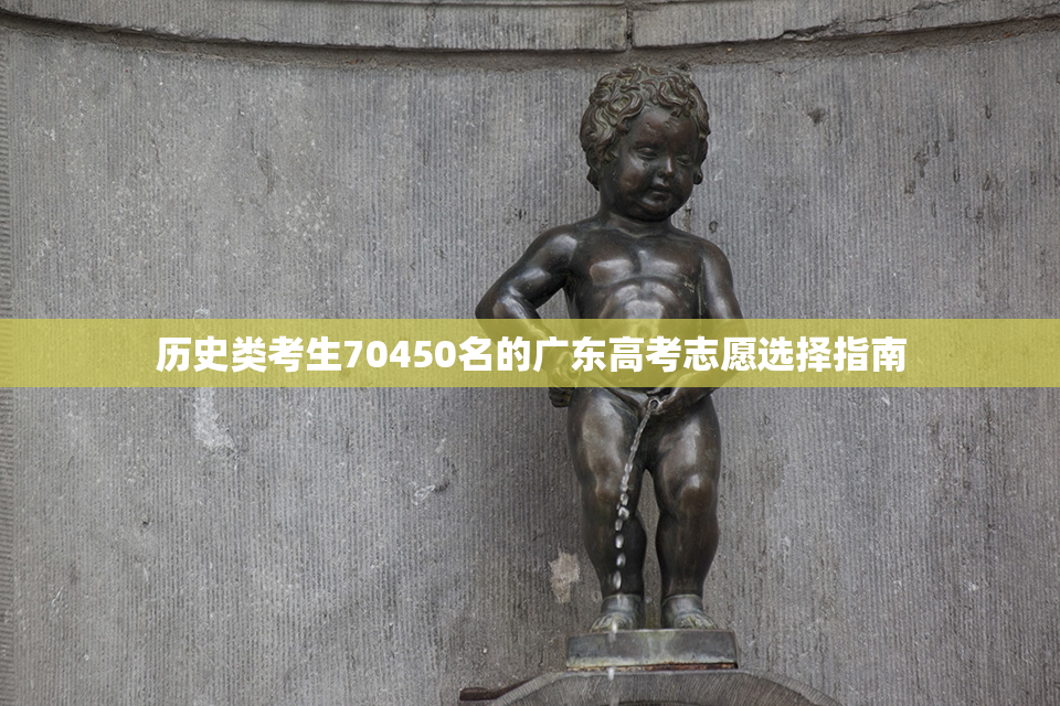 历史类考生70450名的广东高考志愿选择指南