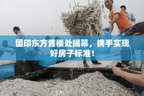 国印东方售楼处揭幕，携手实现好房子标准！