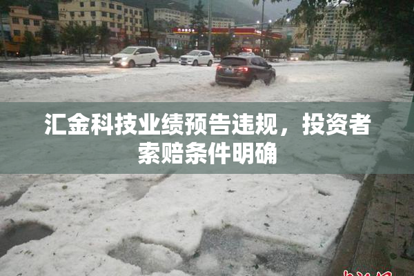 汇金科技业绩预告违规，投资者索赔条件明确