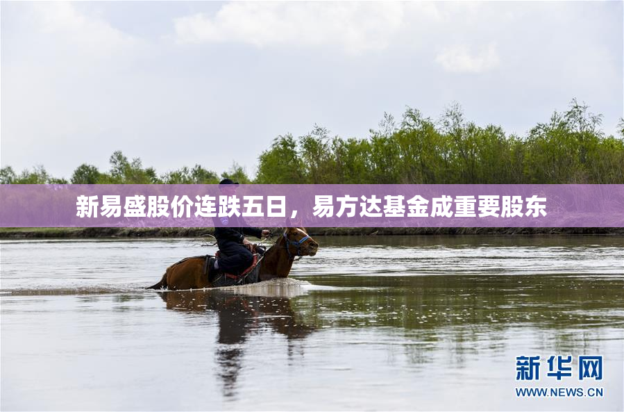 新易盛股价连跌五日，易方达基金成重要股东