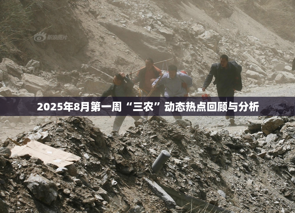2025年8月第一周“三农”动态热点回顾与分析