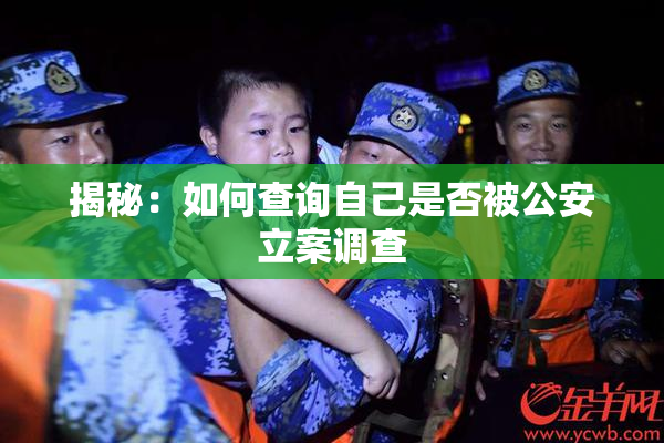揭秘：如何查询自己是否被公安立案调查