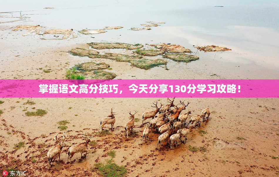 掌握语文高分技巧，今天分享130分学习攻略！