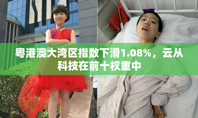 粤港澳大湾区指数下滑1.08%，云从科技在前十权重中