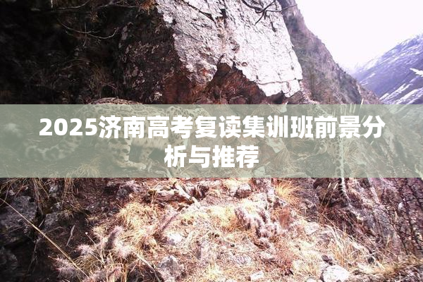 2025济南高考复读集训班前景分析与推荐